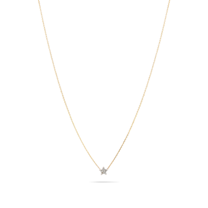 0.05 Carats Round Shape Moissanite StarNecklace